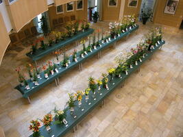 Foto: Dr. Peter Müller